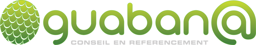 Guabana, Conseil & Formation en Référencement Naturel SEO